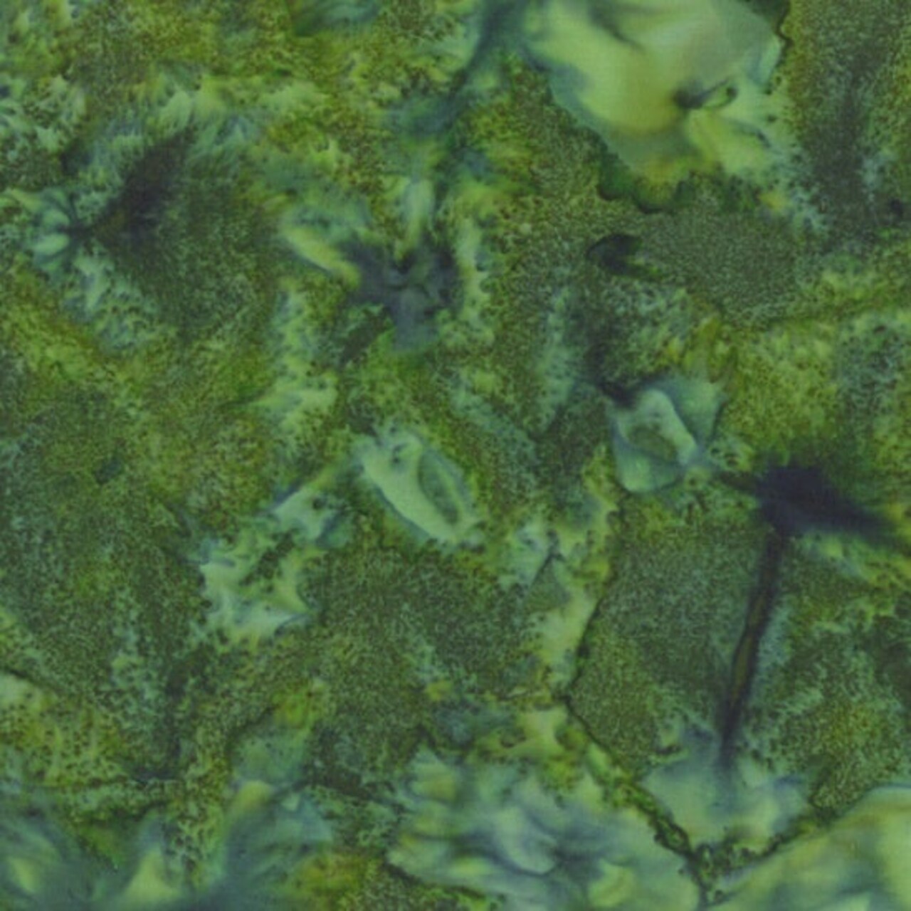 Fabric Hoffman Cypress Watercolor Batiks by the Quarter Yard 1895-580